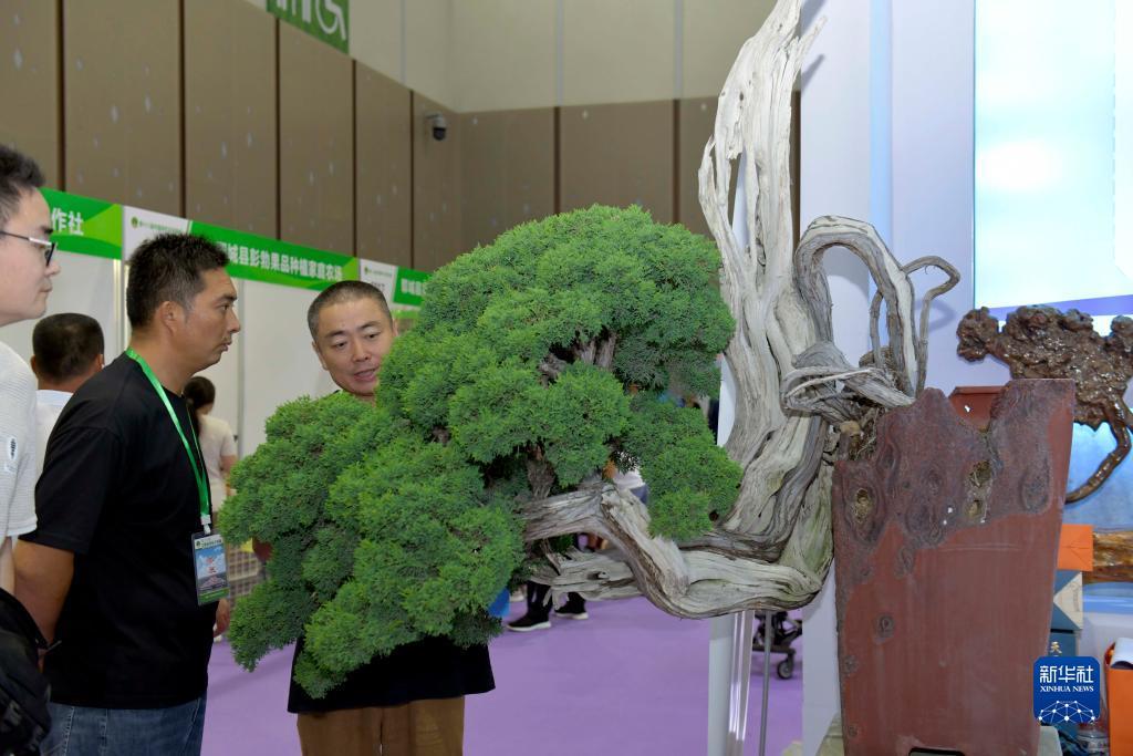 捕鱼赢了10万